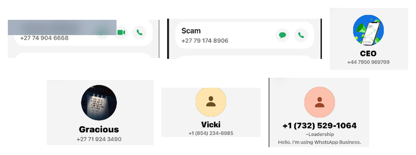 Figure 8. How the numbers appear in WhatsApp: the UK number is labelled “CEO”, and the US business profile is tagged “Leadership”.